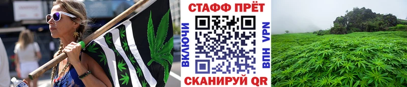  COCAIN Невинномысск