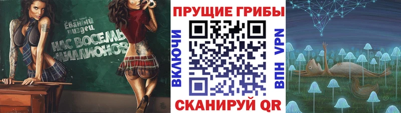 Псилоцибиновые грибы мицелий  Невинномысск 